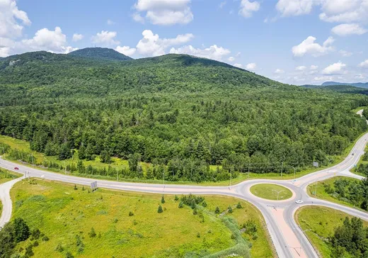 Terrain à vendre -  Ch. du Mont-Orford, Magog, J1X 0P4
