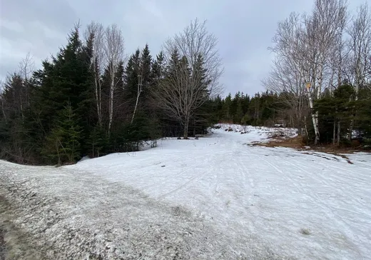 Terrain à vendre -  8e Rang E., Notre-Dame-Des-Boies, J0B 2E0