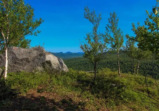 Terrain à vendre - 19 Allée du Panorama, St-Etienne-De-Bolton, J0E2E0