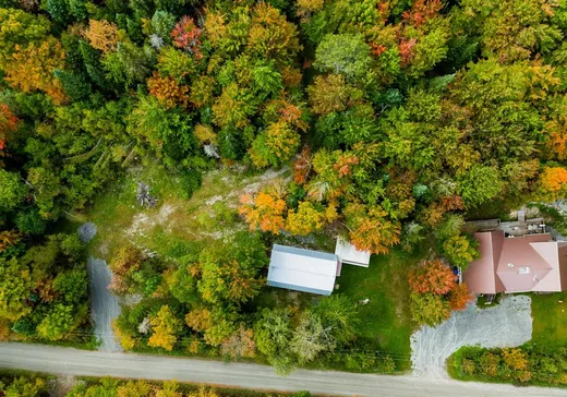 Terrain à vendre - 50 Ch. du Pipeline, Mansonville, J0E1X0