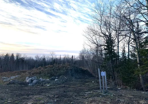 Terrain à vendre -  Rue de l'Harmonie, Lac-Mégantic, G6B 0A1