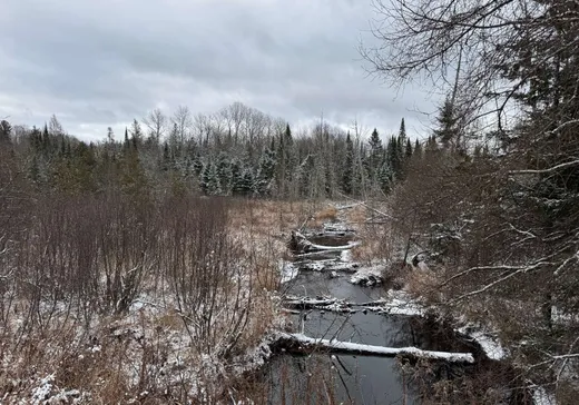 Terrain à vendre -  Ch. Lost River, Harrington, J8G 2T1