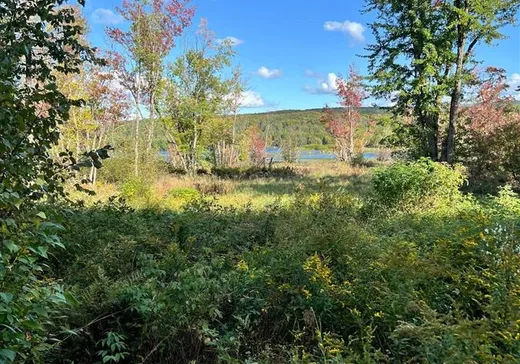 Land for sale - 1525 Ch. des Chalets Ouest, St-Pierre-Baptiste, G0P1K0