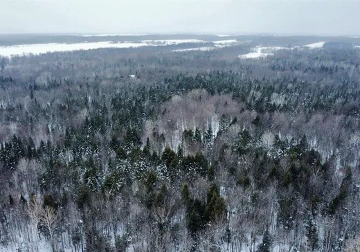 Terrain à vendre -  Rg St-Antoine E., Fortierville, G0S 1J0