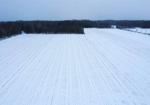 Terrain à vendre -  Rg St-Antoine E., Fortierville, G0S 1J0