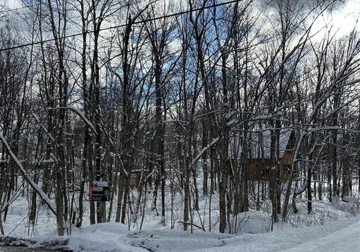 Terrain à vendre -  Rue des Saules, Saint-Augustin-de-Desmaures, J0B 1B0
