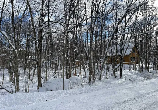 Terrain à vendre -  Rue des Saules, Saint-Augustin-de-Desmaures, J0B 1B0