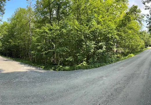 Terrain à vendre -  Rue des Saules, Saint-Augustin-de-Desmaures, J0B 1B0