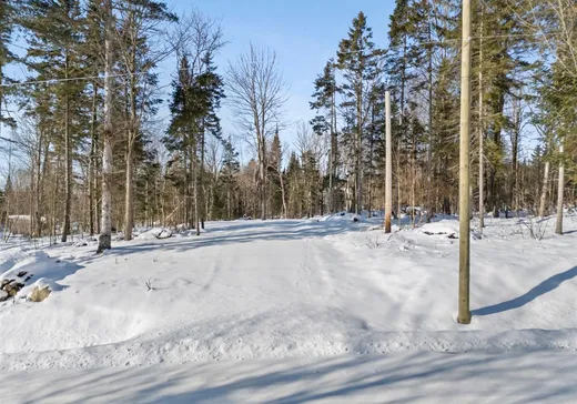 Land for Sale - 224 Ch. de New Mexico, Sawyerville, J0B 3A0