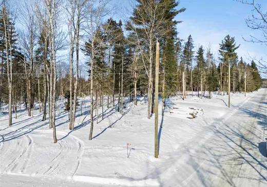Land for Sale - 224 Ch. de New Mexico, Sawyerville, J0B 3A0