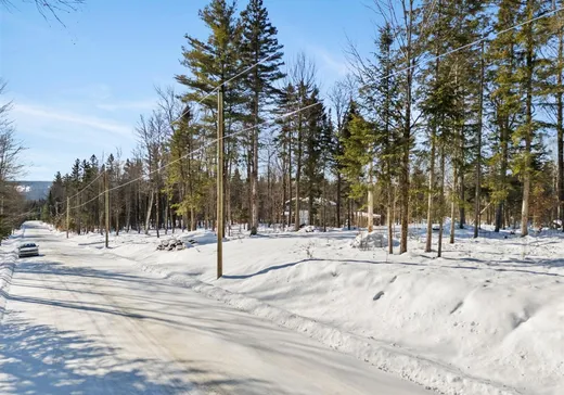 Land for Sale - 224 Ch. de New Mexico, Sawyerville, J0B 3A0