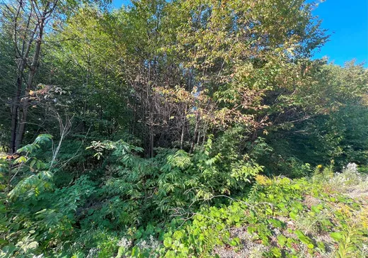 Terrain à vendre - 16 Ch. des Outardes, Notre-Dame-Des-Boies, J0B2E0