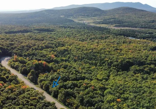 Terrain à vendre - 16 Ch. des Outardes, Notre-Dame-Des-Boies, J0B 2E0
