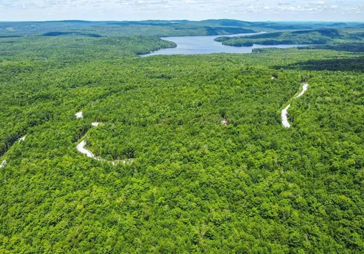 Terrain à vendre -  Ch. de la Tanière, Eastman, J0E 1P0