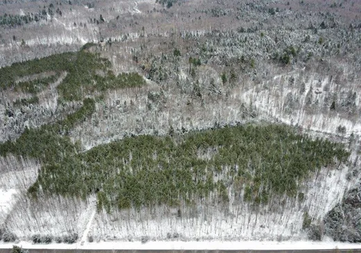 Terrain à vendre -  Ch. Hemmings, Saint-Lucien, J0C1N0