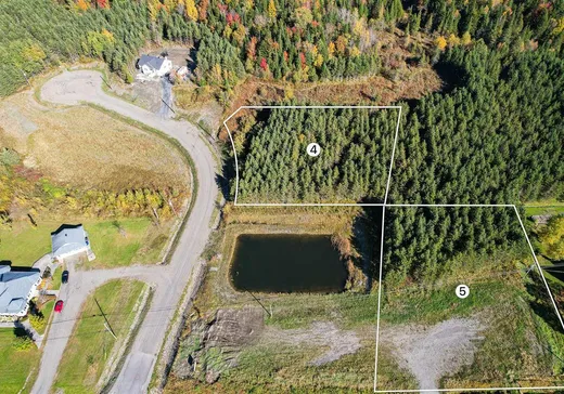 Land for Sale -  Route 253 S., Saint Malo, J0B 2Y0