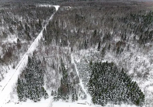 Terrain à vendre - 336 9e Rang, Saint-Robert-Bellarmin, G0M2E0