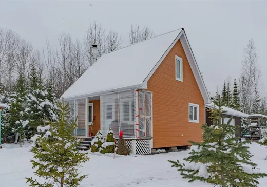 Terrain à vendre - 336 9e Rang, Saint-Robert-Bellarmin, G0M 2E0