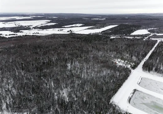 Terrain à vendre - 336 9e Rang, Saint-Robert-Bellarmin, G0M 2E0