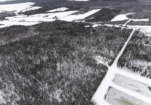 Terrain à vendre - 336 9e Rang, Saint-Robert-Bellarmin, G0M 2E0