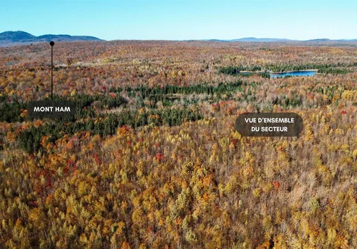 Terrain à vendre -  Ch. Gosford S., Weedon, J0B 3J0
