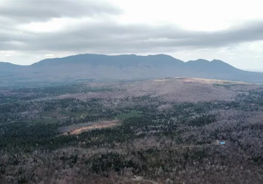 Terrain à vendre -  1er Rang, Notre-Dame-Des-Boies, J0B2E0