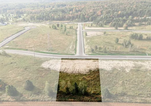 Terrain à vendre -  Rue Étienne-Desmarteau, Sherbrooke, H0H 0H0