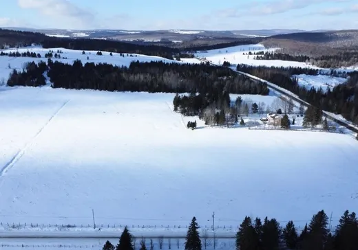 Terrain à vendre -  Ch. de St-Julien, St-Joseph-De-Coleraine, G0N 1B0