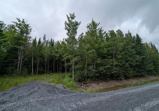 Land for Sale -  Ch. des Hauts-Cantons, Stratford, G0Y 1P0