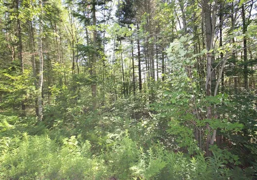 Terrain à vendre - 90 Rue du Grand-Duc, Repentigny, J0B 2P0