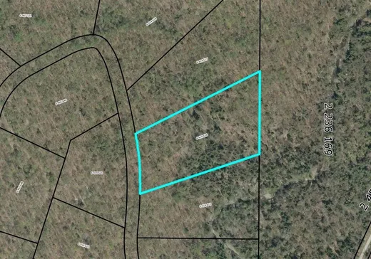 Terrain à vendre - 144 Rue des Faux-Trembles, Eastman, J0E 1P0