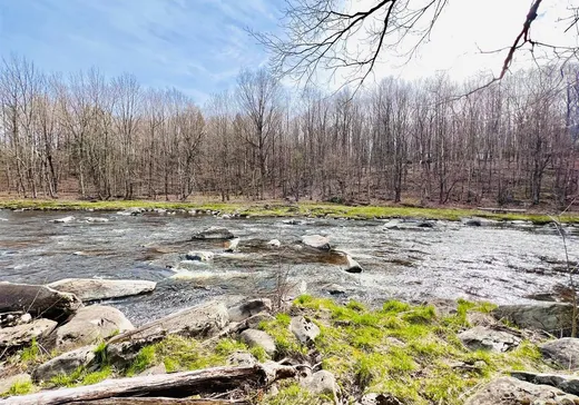 Terrain à vendre -  Rg Ste-Geneviève, Ville de Québec, J0H1E0