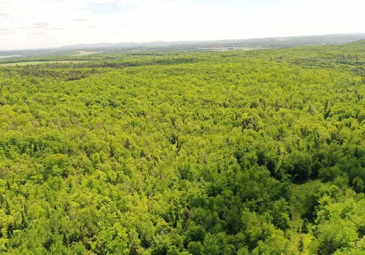 Terrain à vendre -  Ch. Steel-Plante, Pointe-Claire, J0B 2H0