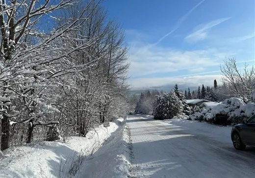 Land for sale -  Rue de la Cordialité, Eastman, J0E1P0