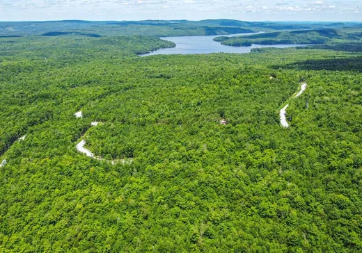 Land for Sale -  Ch. de la Tanière, Eastman, J0E 1P0