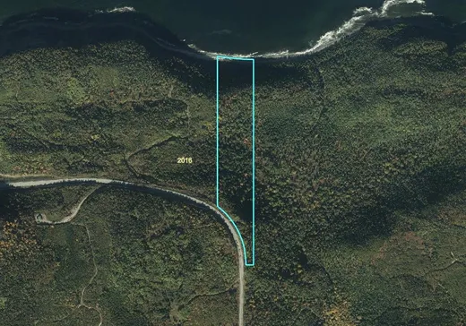 Terrain à vendre -  Route Principale, L'Anse-Pleureuse, G0E2B0