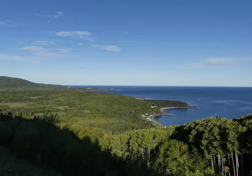 Land for Sale -  Route Principale, L'Anse-Pleureuse, G0E 2B0