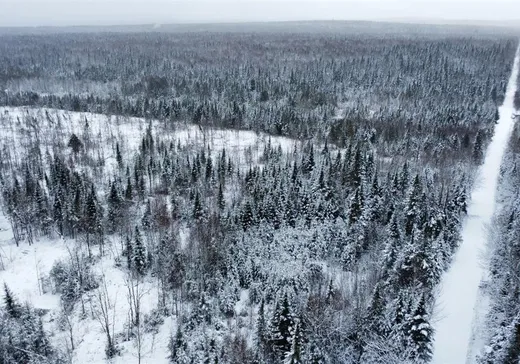Land for Sale -  Ch. des Castors, Lac-Mégantic, G0Y 1E0