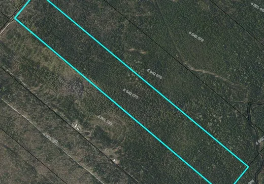 Land for Sale -  Ch. des Castors, Lac-Mégantic, G0Y 1E0