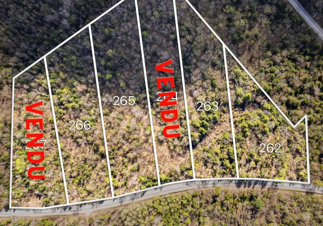 Terrain à vendre - 263 Ch. Laurendeau, Magog, J1X 0M6