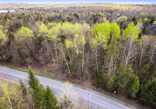 Terrain à vendre - 263 Ch. Laurendeau, Magog, J1X 0M6