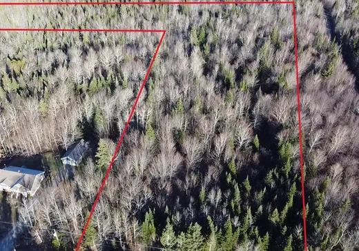 Land for sale -  Ch. de Piopolis, Lac-Mégantic, G0Y1E1