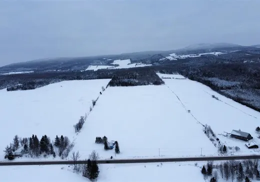 Land for sale - 9405 Route 161, Chesterville, G0P1J0