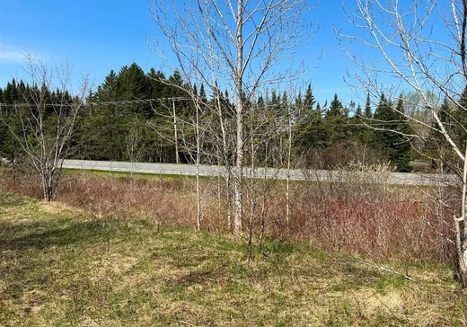 Terrain à vendre -  Rue Lavoie, Thetford Mines, G0N 1E0