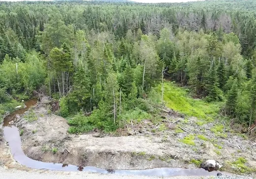 Terrain à vendre - 871 Ch. Turcotte, Lac-Mégantic, G0Y1E0