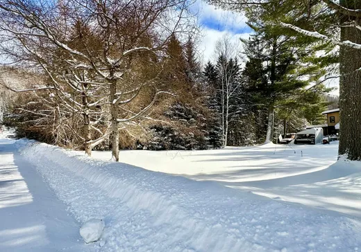 Terrain à vendre - Rue Tamarac Rue Tamarac, Val David, J0T2N0