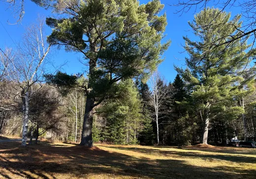 Terrain à vendre - Rue Tamarac Rue Tamarac, Val David, J0T 2N0