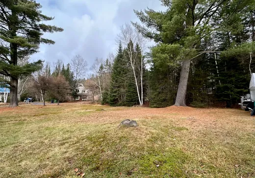 Terrain à vendre - Rue Tamarac Rue Tamarac, Val David, J0T 2N0