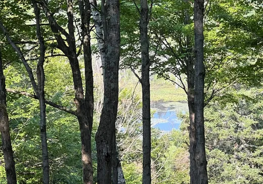 Terrain à vendre -  Mtée St-Gabriel, Saint-Sauveur, J0R 1R7