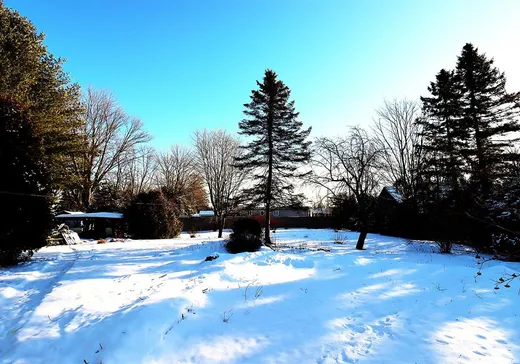 Terrain à vendre - 30Z Rue de la Station, Pont-Rouge, G3H1K6